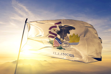 Business Insurance in Illinois: A Comprehensive Guide